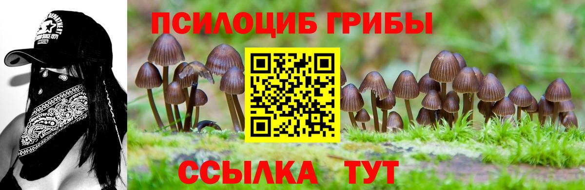 цены наркотик  Вход с VPN  Александров  Галлюциногенные грибы GOLDEN TEACHER  Галлюциногенные грибы мухоморы 